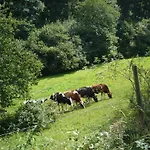 Meindl