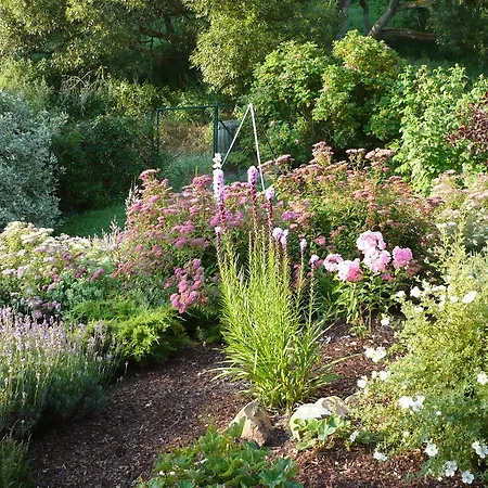 Meindl Идар-Оберштайн