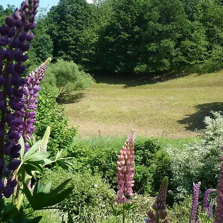 Apartmán Meindl Idar-Oberstein