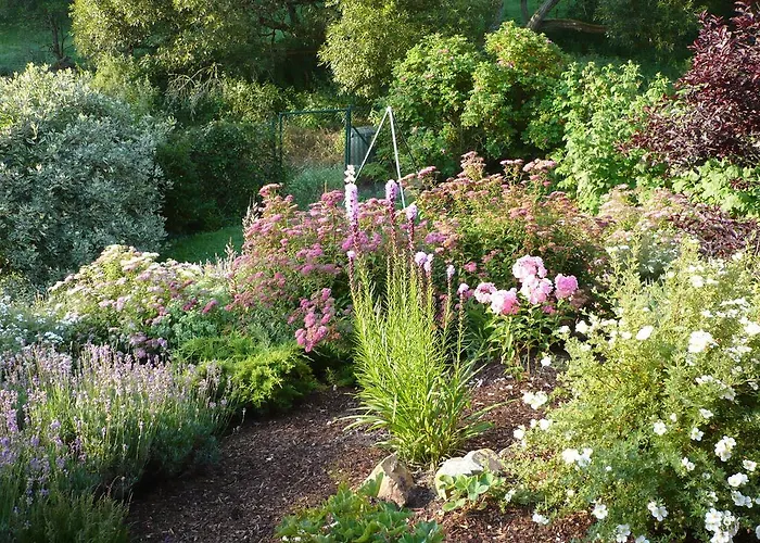 Meindl Idar-Oberstein