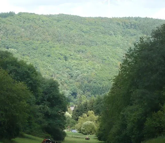 Meindl Appartamento Idar-Oberstein