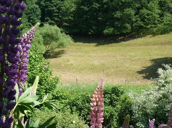 Appartamento Meindl Idar-Oberstein